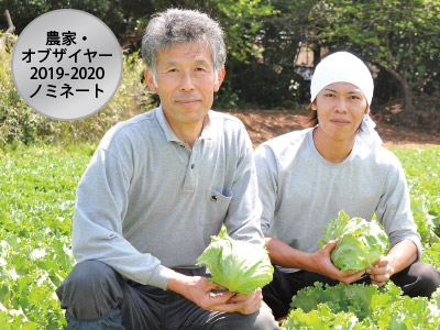 飯塚一実さんのバリシャキ春レタス　1コ写真