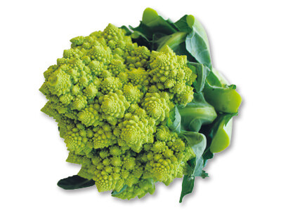 ロマネスコ　1コ写真