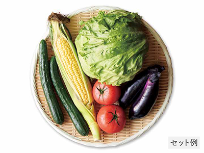 夏の食卓彩り野菜セット写真