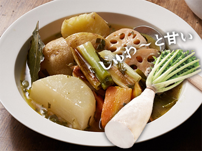 【ベジオタのひと皿】三浦大根と根菜の仲良しポトフ〜野菜のお出汁で写真