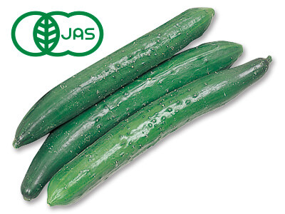 有機きゅうり　300G写真
