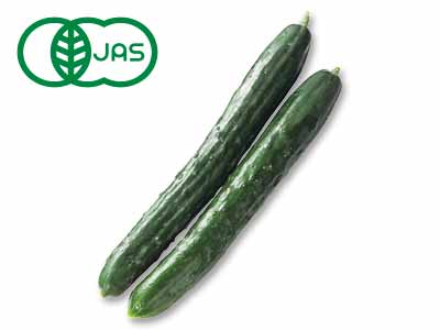 有機きゅうり　200G写真