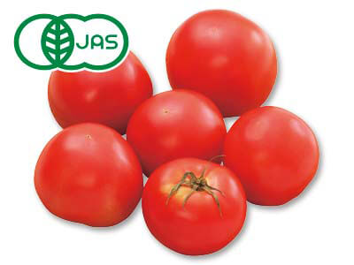 有機トマト　800G写真