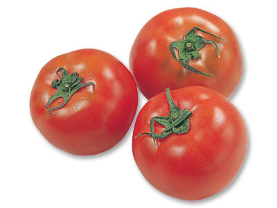 九州・沖縄のトマト　400G写真