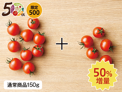 【記念商品・50％増量】ミニトマト　230G写真