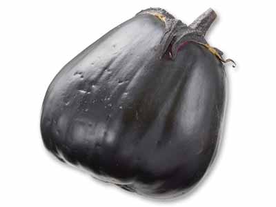 讃岐の在来品種　三豊なす　1本写真