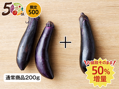 【記念商品・50%増量】◆皮までおいしい彩やか◆なす 300G写真