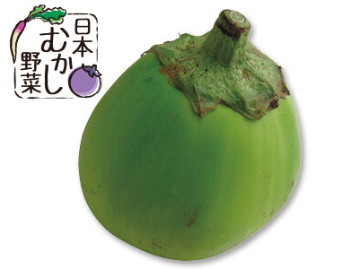 日本むかし野菜 なす 300G写真
