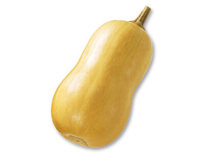 ◆濃厚スープに◆バターナッツかぼちゃ　1コ写真