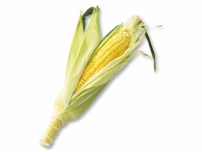 北海道産とうもろこし　1本写真