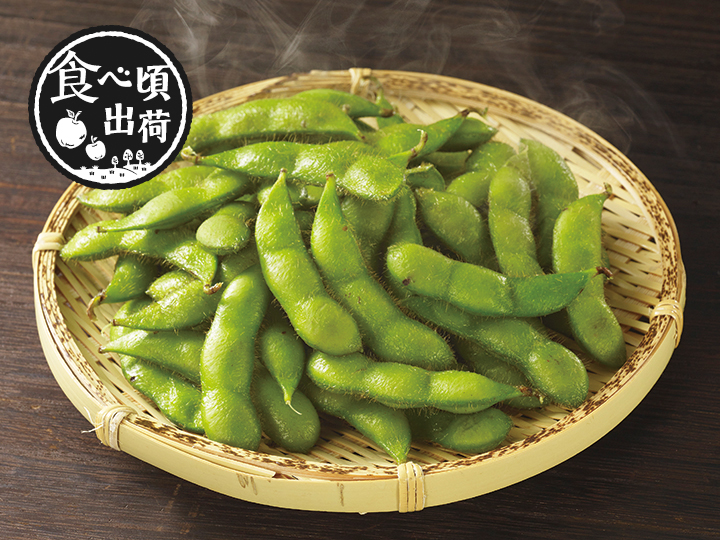 頒布会 コクあま!夏の味自慢枝豆めぐり写真