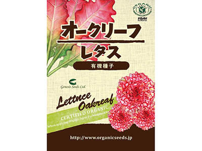 予約　有機種子　オークリーフレタス写真
