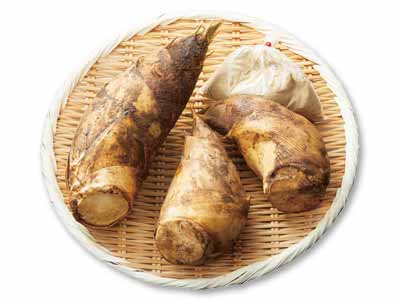 たけのこ　1.2KG写真