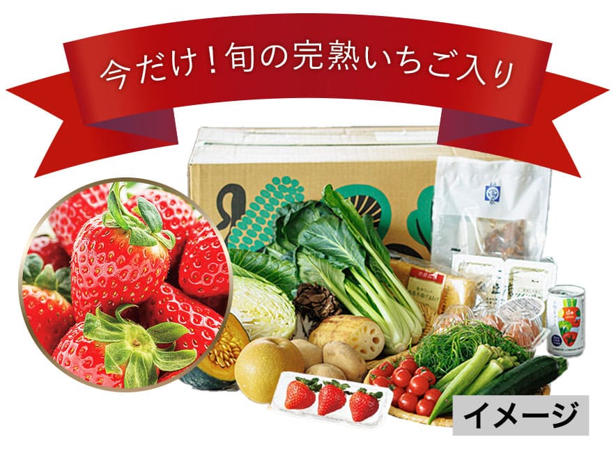 旬の食材お試しセット▲