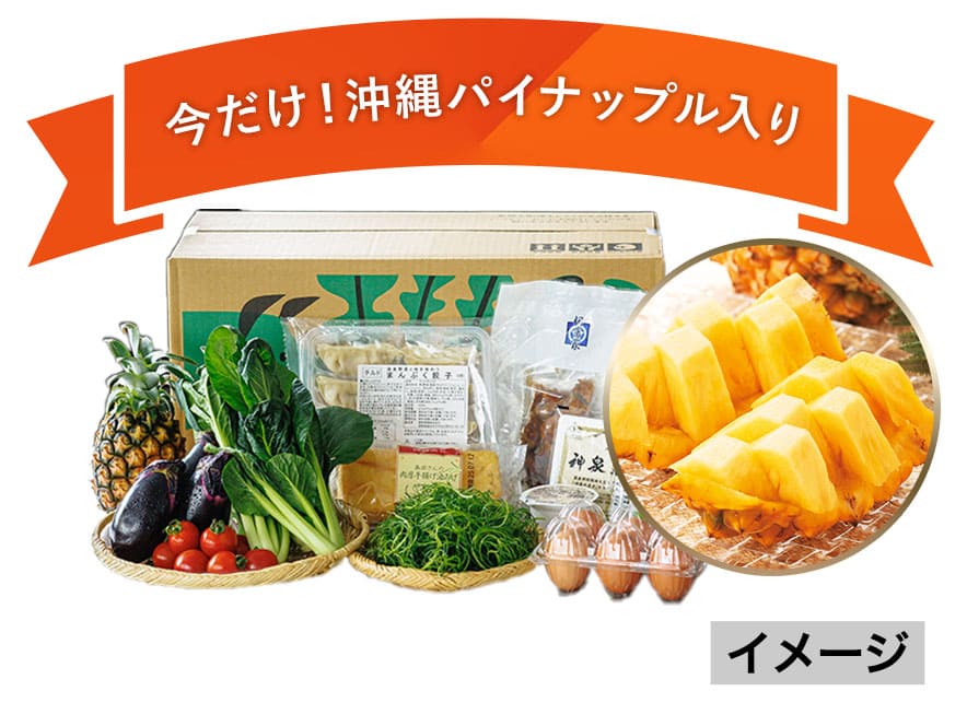 旬の食材お試しセットＪ