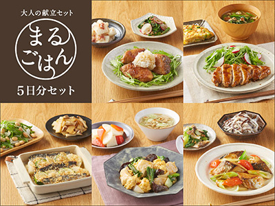 大人の献立 まるごはん5日分セット・126号写真