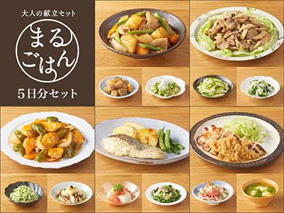 大人の献立 まるごはん5日分セット・139号写真