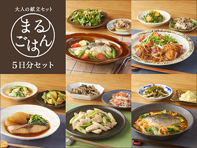 大人の献立 まるごはん5日分セット・144号写真