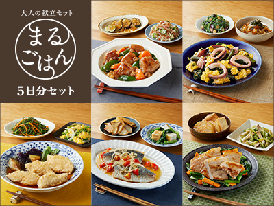 大人の献立 まるごはん5日分セット・134号写真