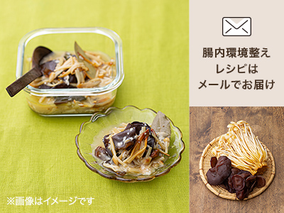 腸おいしい　食材セット・塩麹ピクルス写真