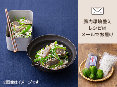 腸おいしい　食材セット・こんにゃくとしらすのナムル写真