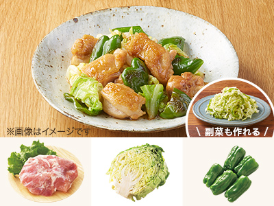 レシピ付き食材セット・たっぷりキャベツと鶏肉の甘辛炒め＋副菜写真