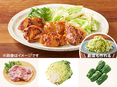 レシピ付き食材セット・食欲そそる　鶏の味噌漬け焼き＋副菜写真