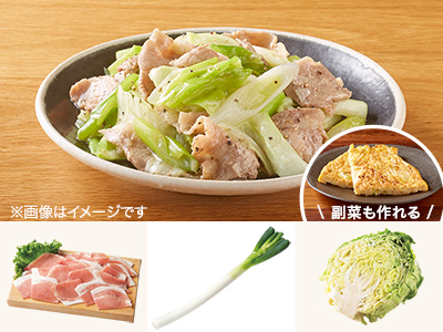 レシピ付き食材セット・豚肉の塩ダレ香味炒め＋副菜写真