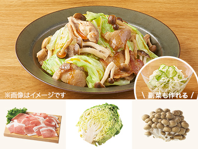 レシピ付き食材セット・簡単　キャベツと豚肉のピリ辛炒め＋副菜写真