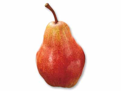 レッドバートレット（洋梨）　500G写真