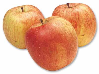 大地のもったいナイ原さんの加工用ふじ（りんご）　1.5KG写真