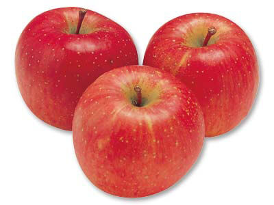 留目さんの有機ふじ（りんご）　1KG写真