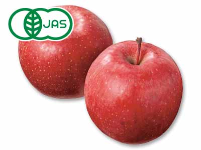 留目さんの有機ふじ（りんご）　450G写真