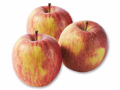 新農研の葉とらずふじ（りんご）　800G写真