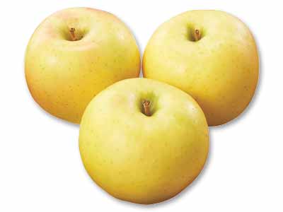 こうこう（りんご）　700G写真