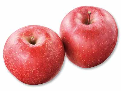 パリッと食感今井さんのコスモふじ　500G写真