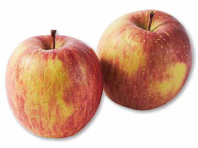 新農研の葉とらずふじ（りんご）・熊被害支援金付　450G写真