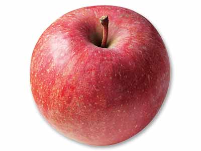 蔵出しふじりんご　1コ写真