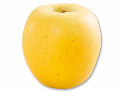 蔵出しシナノゴールド　1コ写真