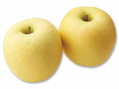 蔵出しシナノゴールド　2コ写真