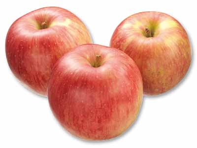 つがる（早生りんご）　800G写真