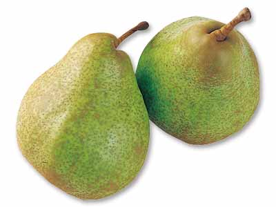 オーロラ（洋梨）　700G写真