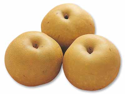 斎藤さん・阿部さんの梨（豊水）　1.2KG写真