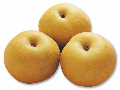 斎藤さん・阿部さんの梨（幸水または豊水）　1.2KG写真