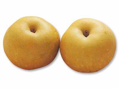 斎藤さん・阿部さんの梨（幸水または豊水）　800G写真