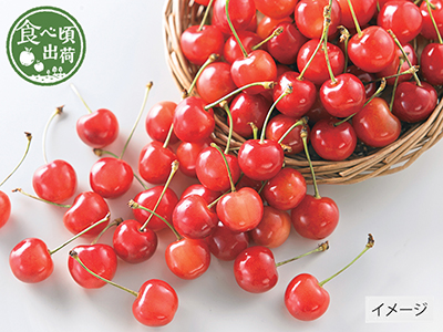 予約　山形のさくらんぼ（佐藤錦・紅秀峰）直送　800G写真