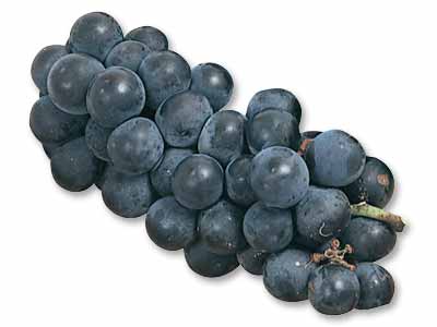 アジロンダック（ぶどう）　300G写真