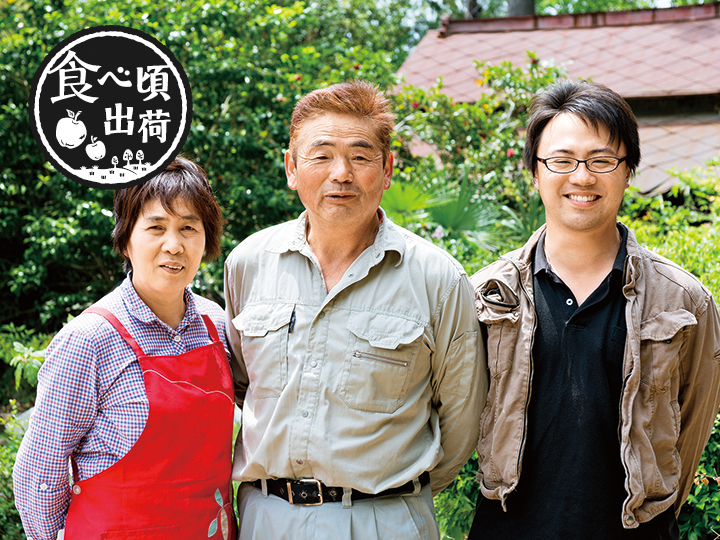 予約 小野寺さんのグレースメロン 1コ写真