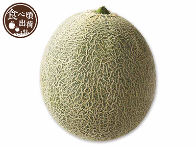 予約　長崎のタカミメロン　1コ写真