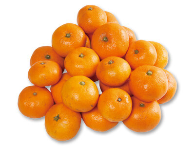 青島温州みかん　2KG写真